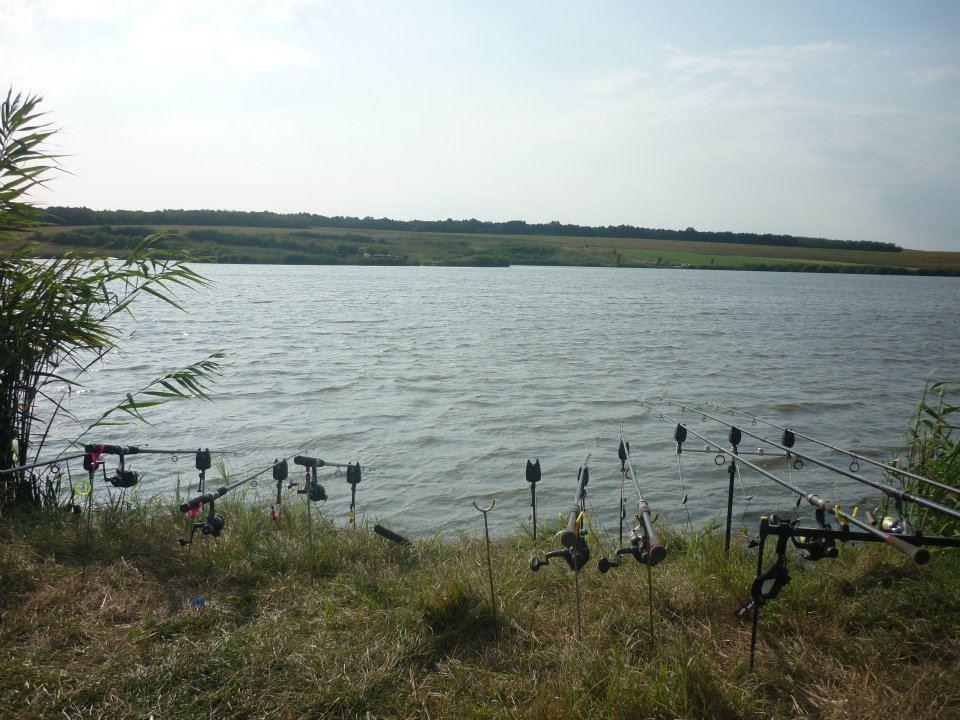 pescuit - 396909_301119516591793_125825486_n.jpg